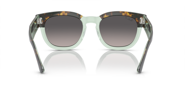 Ray-Ban Mega Hawkeye RB0298S 1376M3 Havana op transparant groen
