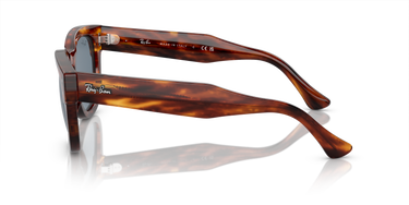 Ray-Ban Mega Hawkeye RB0298S 954/62 Havana Gestreept