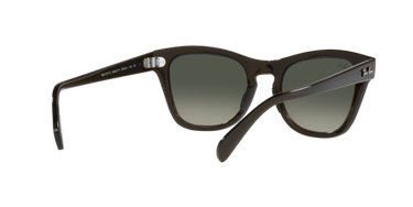 Ray-Ban RB0707S 664271 Transparant olijfgroen