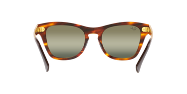 Ray-Ban RB0707SM 954/G4 Havana gestreept