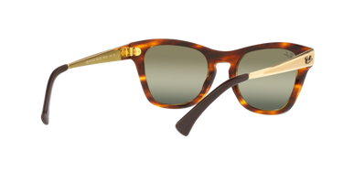 Ray-Ban RB0707SM 954/G4 Havana gestreept