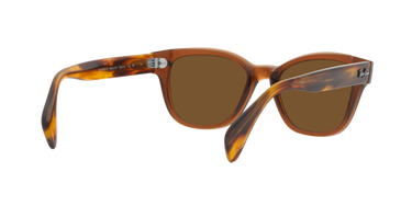 Ray-Ban RB0880S 664057 Transparant Bruin