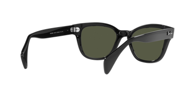 Ray-Ban RB0880S 901/31 Zwart