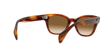Ray-Ban RB0880S 954/51 Havana Gestreept