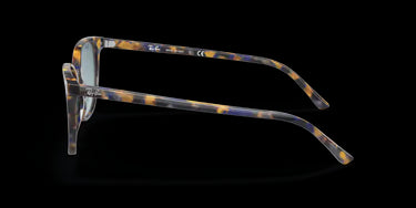 Ray-Ban Elliot RB2197 13563M Yellow and Blue Havana