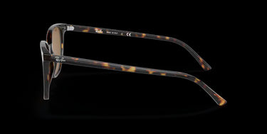 Ray-Ban Elliot RB2197 902/33 Havana