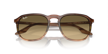 Ray-Ban RB2203 13920A Gestreept bruin en groen