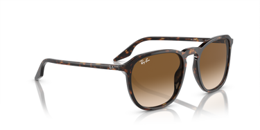 Ray-Ban RB2203 902/51 Havana