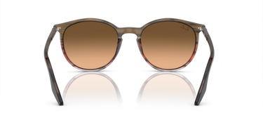 Ray-Ban RB2204 13953B Gestreept bruin en rood