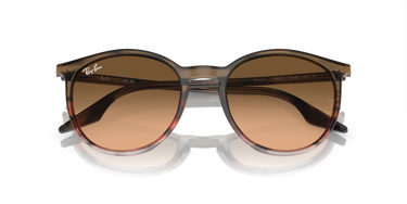 Ray-Ban RB2204 13953B Gestreept bruin en rood