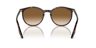 Ray-Ban RB2204 902/51 Havana