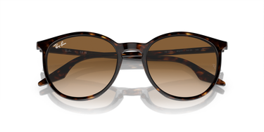 Ray-Ban RB2204 902/51 Havana