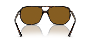 Ray-Ban Bill one RB2205 902/33 Havana
