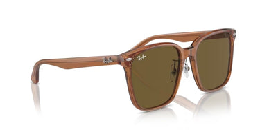 Ray-Ban RB2206D 663673 Transparant Bruin