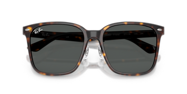 Ray-Ban RB2206D 710/87 Havana