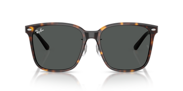 Ray-Ban RB2206D 710/87 Havana