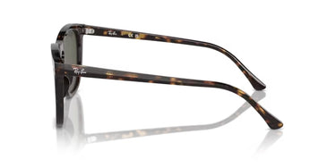 Ray-Ban RB2210 902/31 Havana