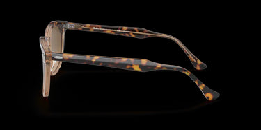 Ray-Ban Hawkeye RB2298 1292M2 Havana Transparent Brown