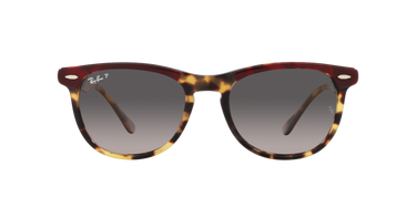 Ray-Ban Eagleeye RB2398 1377M3 Bordeaux op geel Havana