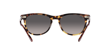 Ray-Ban Eagleeye RB2398 1377M3 Bordeaux op geel Havana