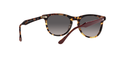 Ray-Ban Eagleeye RB2398 1377M3 Bordeaux op geel Havana