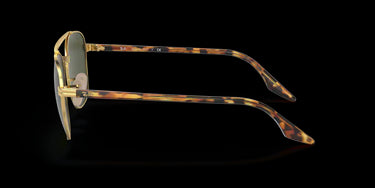 Ray-Ban RB3688 001/31 Gold