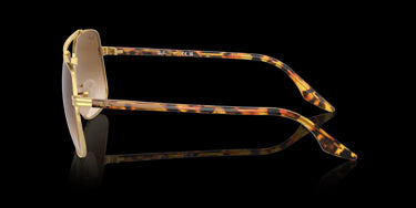 Ray-Ban RB3699 001/51 Gold Yellow Havana