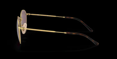 Ray-Ban Rob RB3772 001/AF Gold