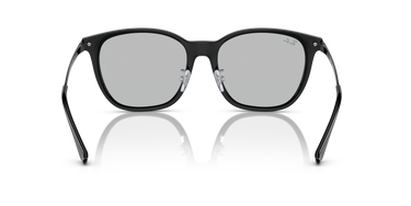 Ray-Ban RB4333D 601/87 Zwart