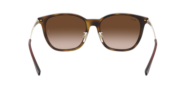 Ray-Ban RB4333D 710/13 Licht Havana