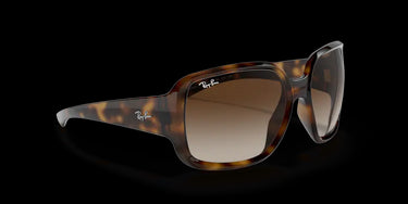 Ray-Ban Powderhorn RB4347 710/13 Havana