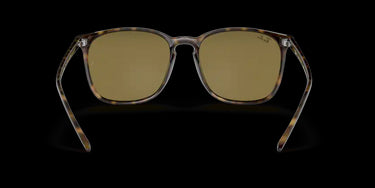 Ray-Ban RB4387 710/73 Light Havana