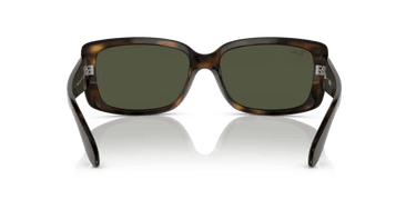 Ray-Ban RB4389 710/31 Havana