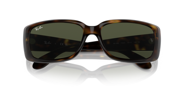 Ray-Ban RB4389 710/31 Havana