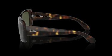 Ray-Ban RB4389 710/31 Havana