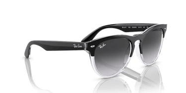 Ray-Ban Iris RB4471 66308G Black on Transparent