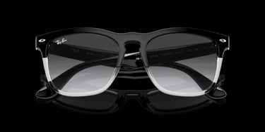 Ray-Ban Steve RB4487 66308G Black on Transparent