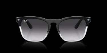 Ray-Ban Steve RB4487 66308G Black on Transparent