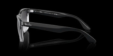 Ray-Ban Steve RB4487 66308G Black on Transparent