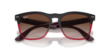Ray-Ban Steve RB4487 663113 Grey on Transparent Red