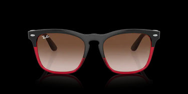 Ray-Ban Steve RB4487 663113 Grey on Transparent Red