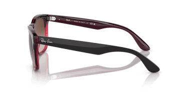 Ray-Ban Steve RB4487 663113 Grey on Transparent Red