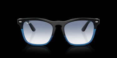 Ray-Ban Steve RB4487 663219 Black on Blue