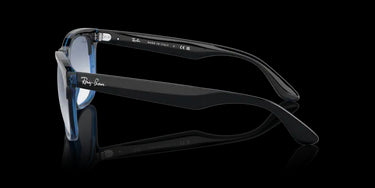 Ray-Ban Steve RB4487 663219 Black on Blue