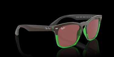 Ray-Ban Steve RB4487 663469 Dark Brown on Transparent Green