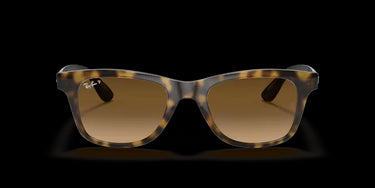 Ray-Ban RB4640 710/M2 Light Havana