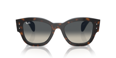 Ray-Ban Jorge RB7681S 140171 Havana Grijs op Blauw