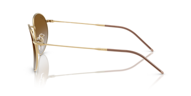 Ray-Ban Round Reverse RBR0103S 001/CB Goud