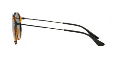 Ray-Ban RB2447 1157 Spotted Black Havana