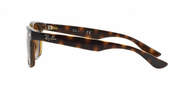 Ray-Ban Junior New Wayfarer RJ9052S 152/3 Shiny Havana